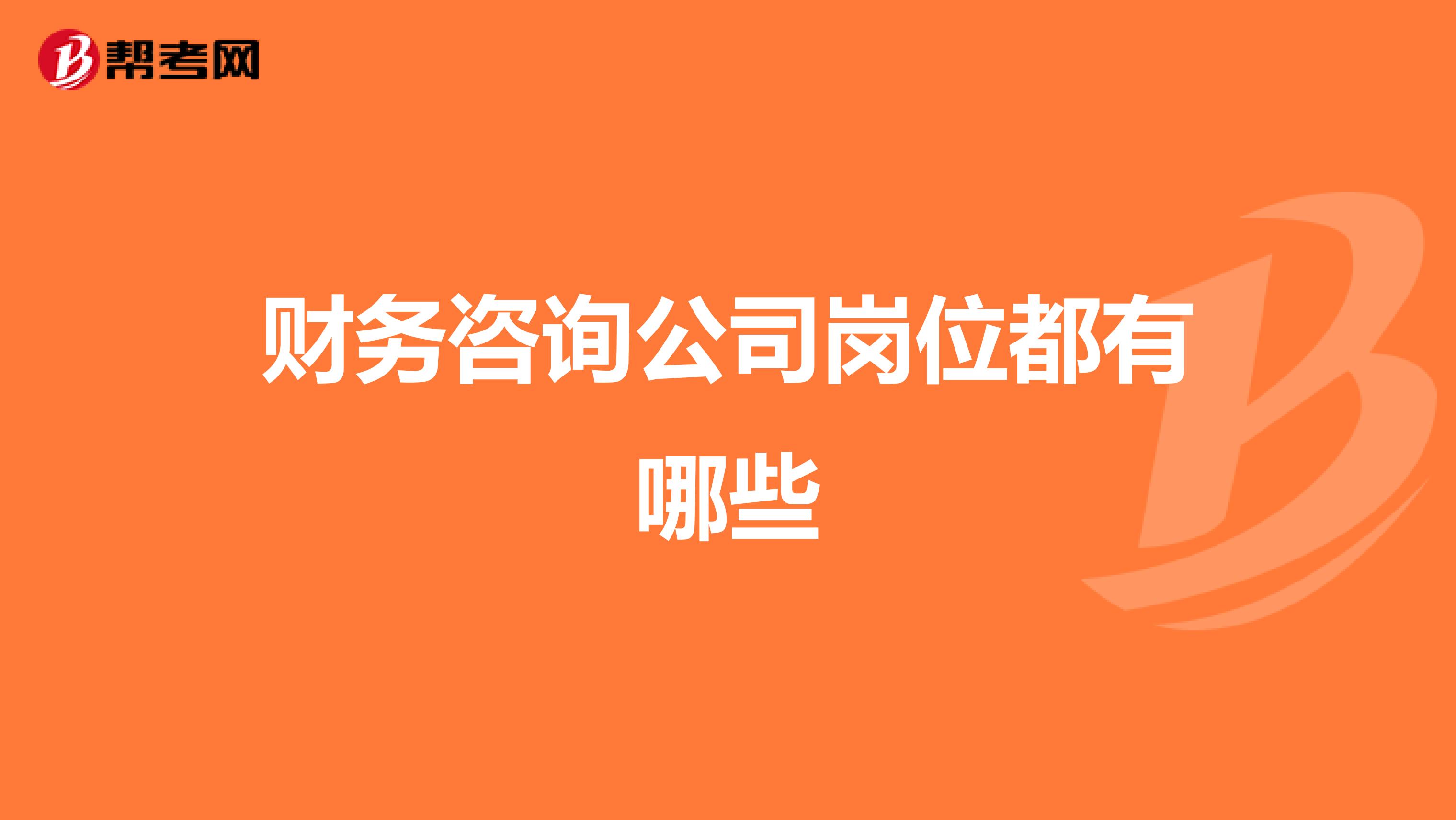 财务咨询公司岗位全景图 从专业服务到战略支持的完整解析